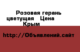 Розовая герань цветущая › Цена ­ 100 - Крым  »    